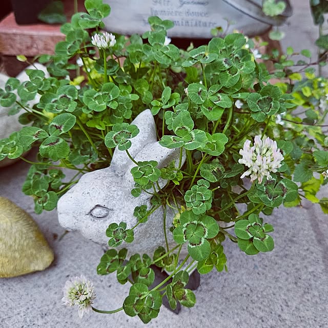 mocomocoさんの実例写真