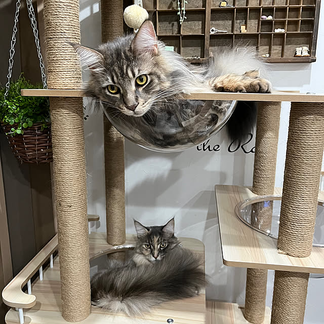 mayumiさんの部屋
