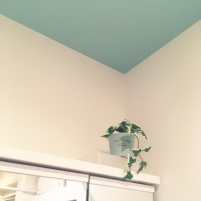 chi.nyanさんの実例写真