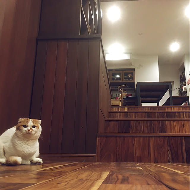 shir0さんの実例写真