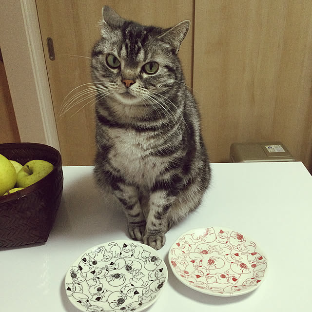 richanさんの実例写真