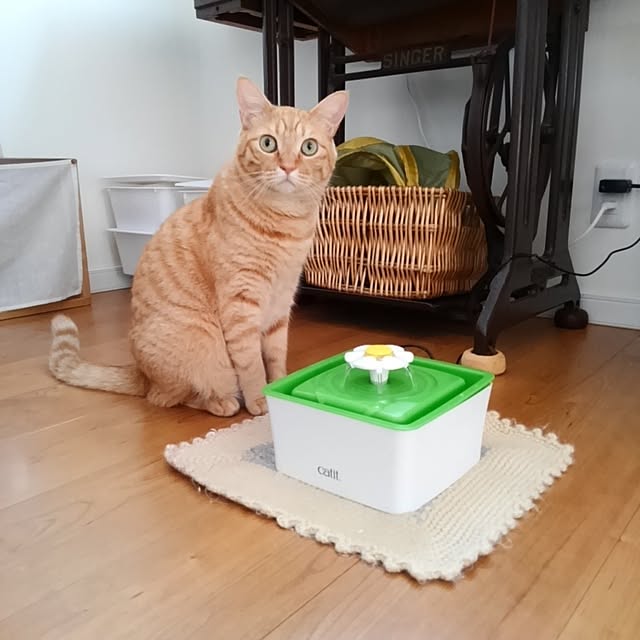 mayutan.さんの実例写真