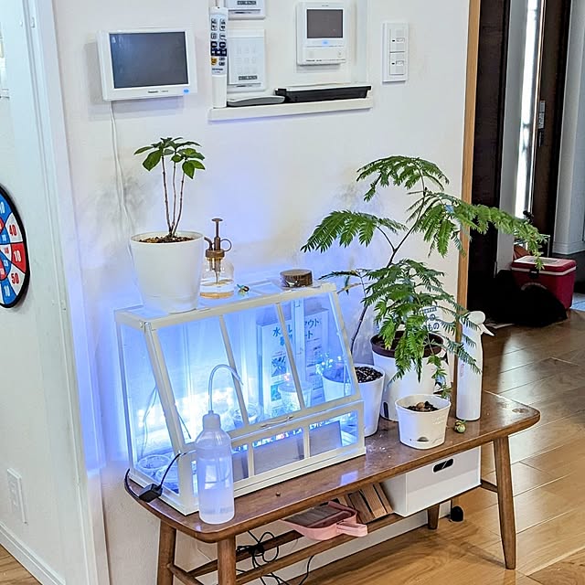tomatopapaさんの部屋