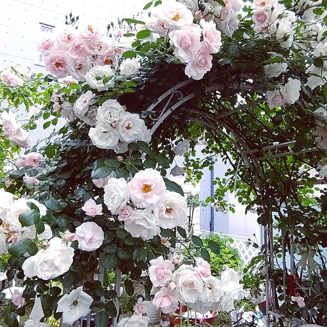 Bienvenueさんの実例写真