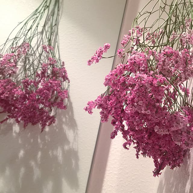 yoricoさんの実例写真