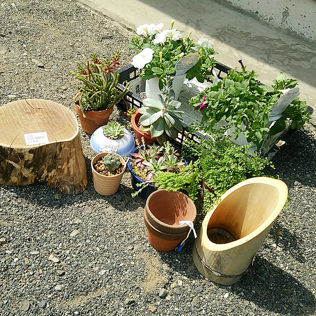 denkoさんの実例写真