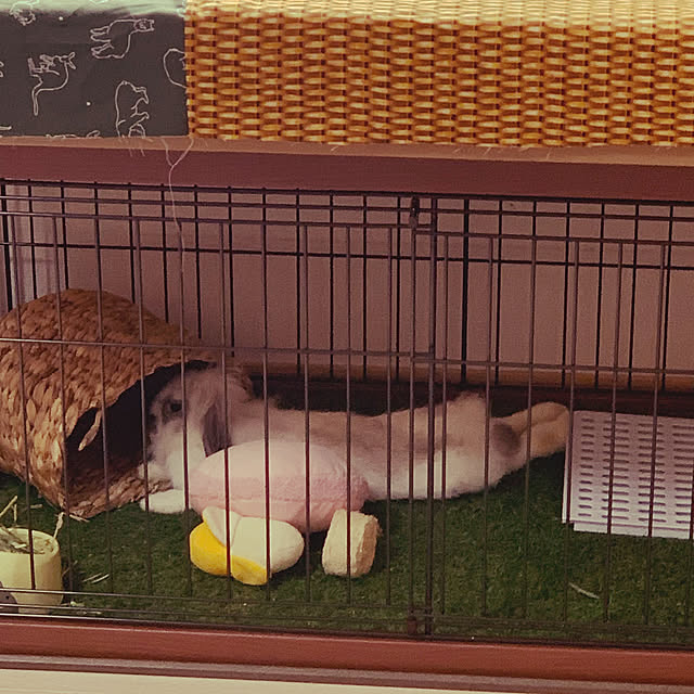 cocominaさんの実例写真