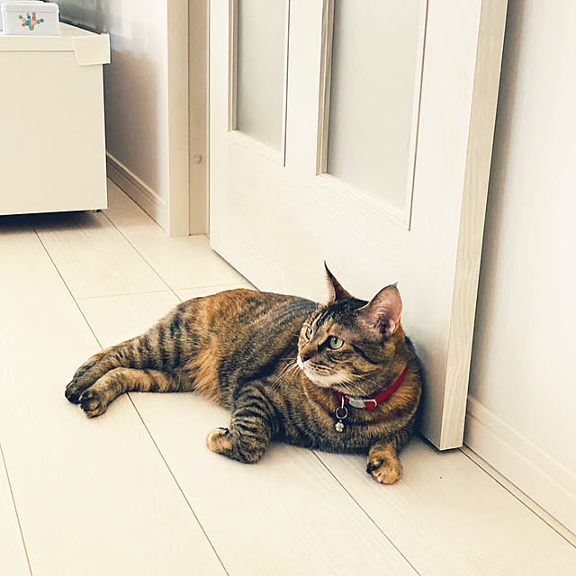 minminさんの部屋