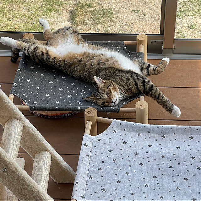 manekinekoさんの実例写真