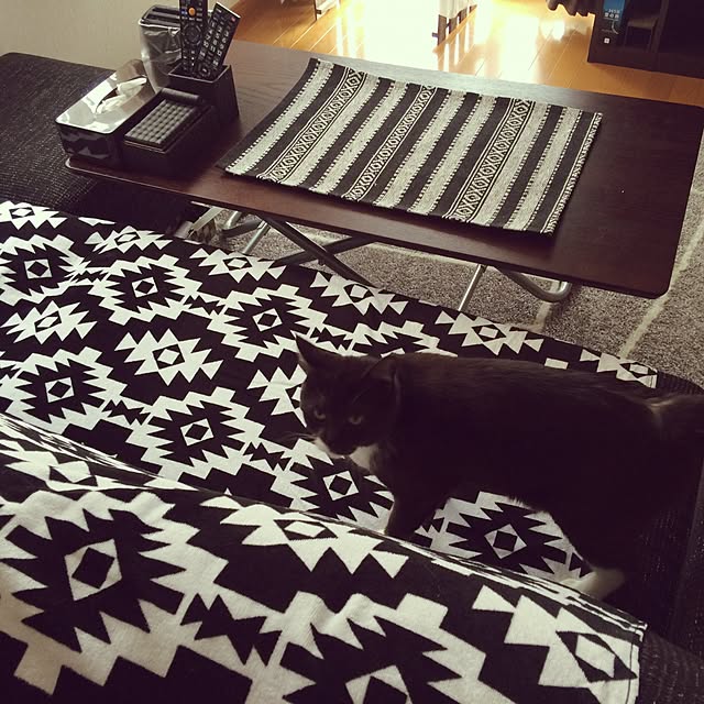 afroさんの実例写真