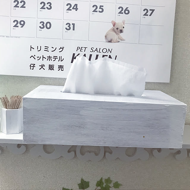 risaさんの実例写真