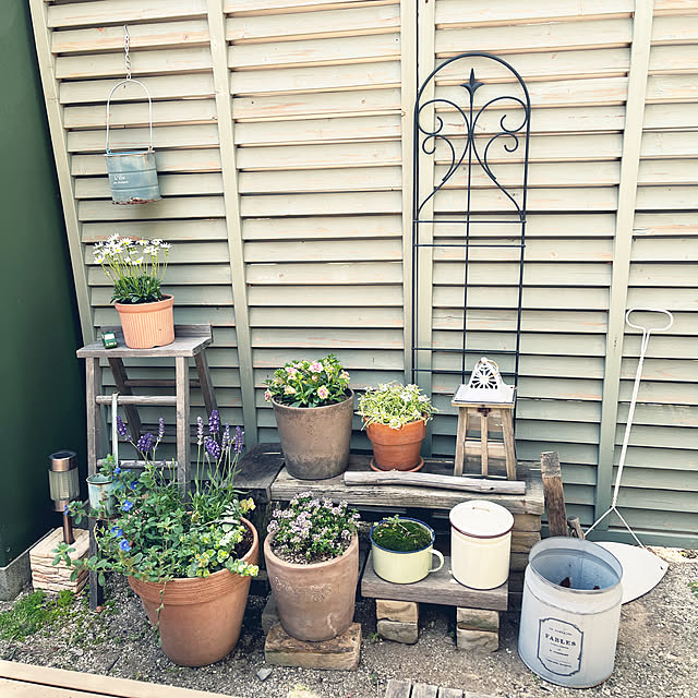 msykさんの実例写真