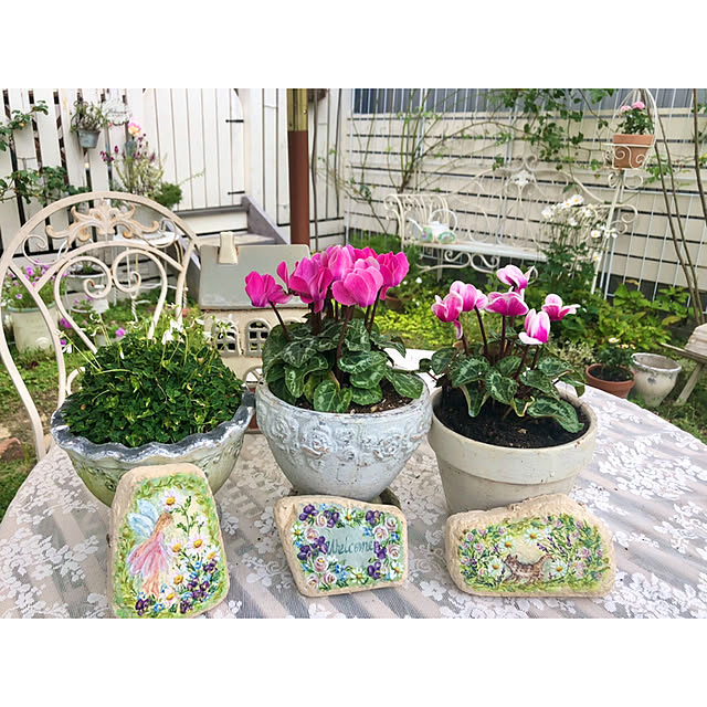 ponさんの実例写真