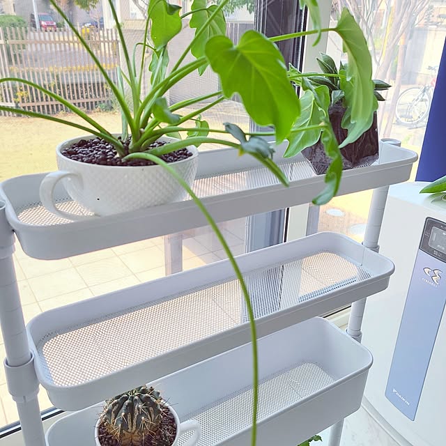 mutyukingさんの部屋