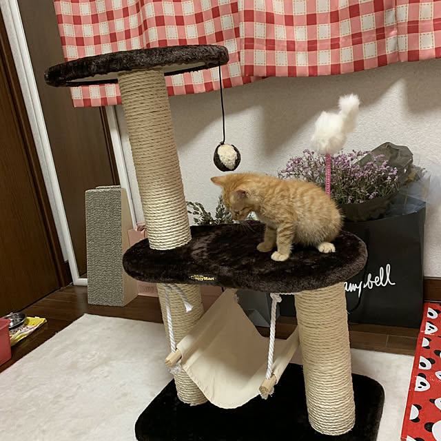 kikiさんの実例写真