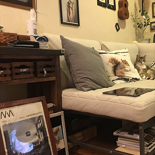 kiuさんの部屋