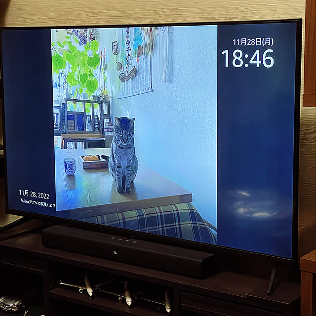 aureaさんの実例写真