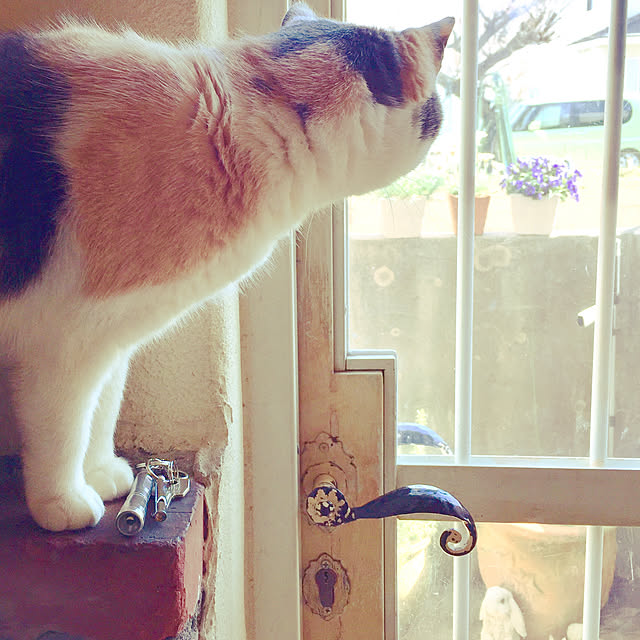rosemaryさんの実例写真