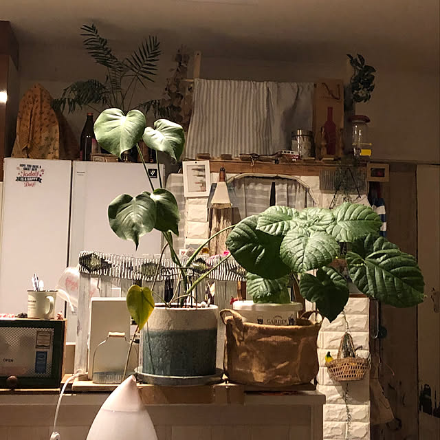 tomさんの実例写真