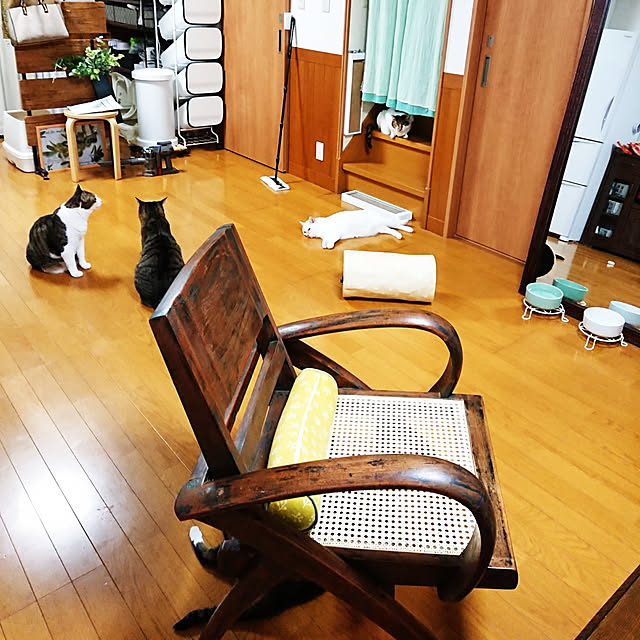 nachiさんの実例写真