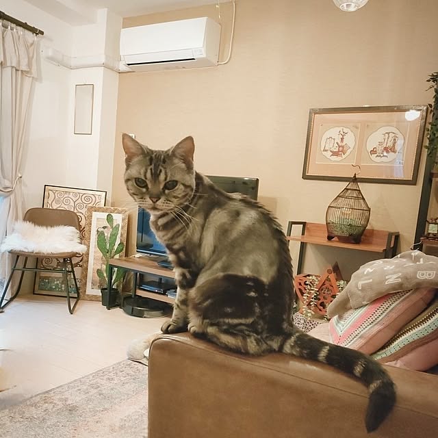 Yoko622さんの実例写真