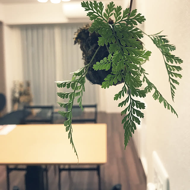kusamochiさんの実例写真