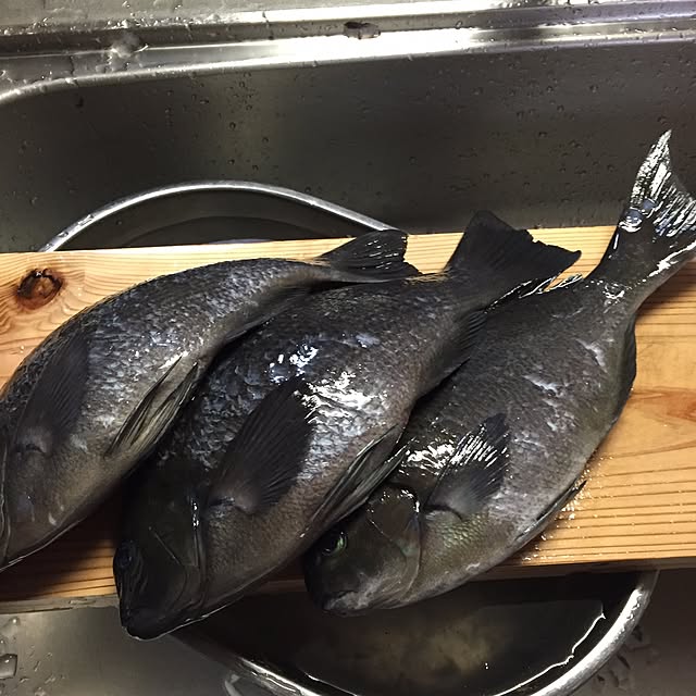 moririnさんの実例写真