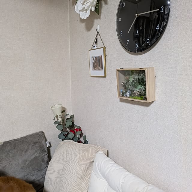 mori_6_12さんの部屋