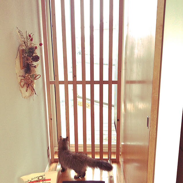 MOOさんの実例写真