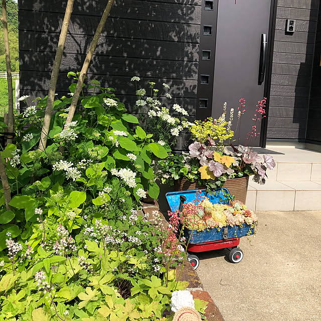 hanaさんの部屋