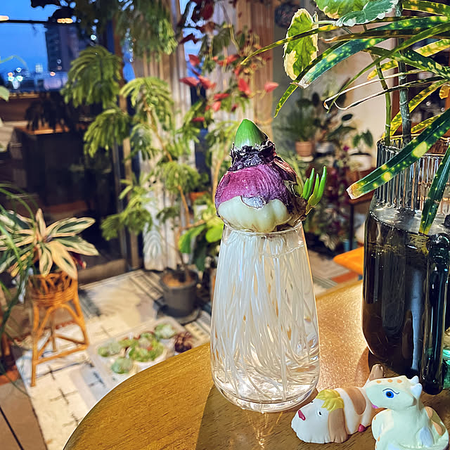 miyamiyaさんの実例写真