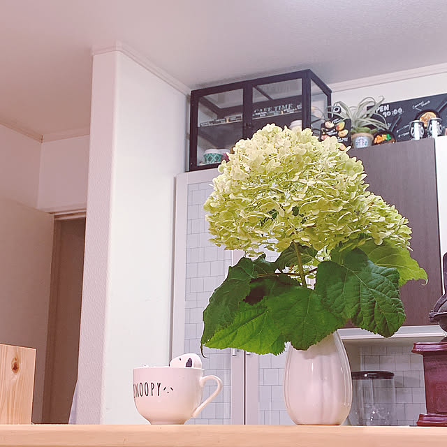 miemekkoさんの実例写真