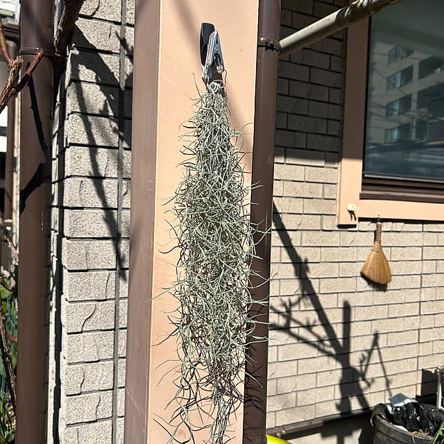 botanさんの部屋