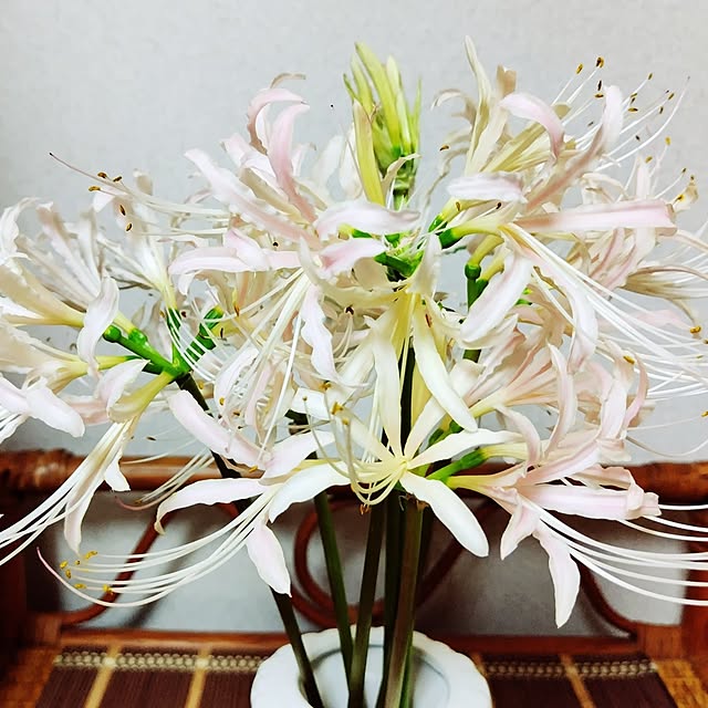 katさんの部屋