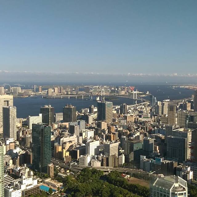 実例写真