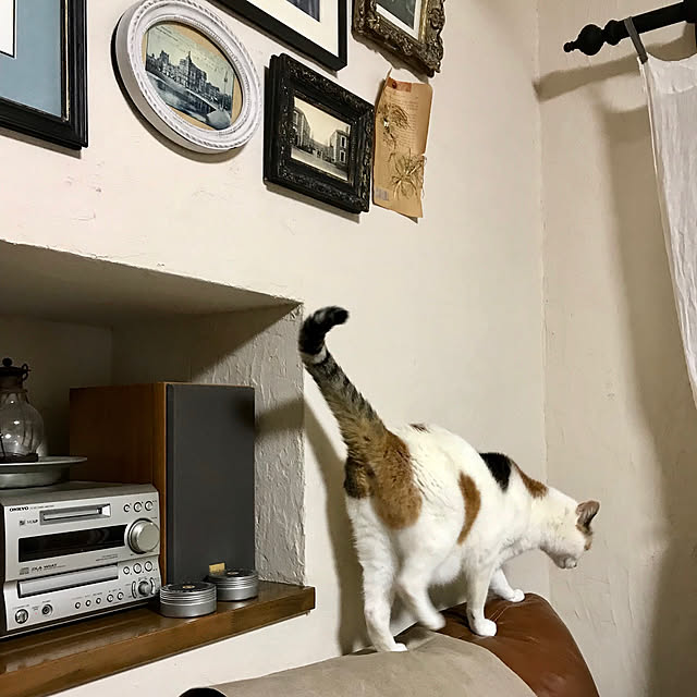 petitlapineさんの実例写真