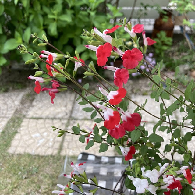 min_nimさんの実例写真