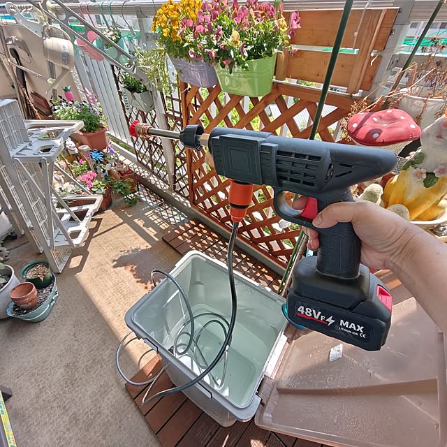 mariaさんの部屋