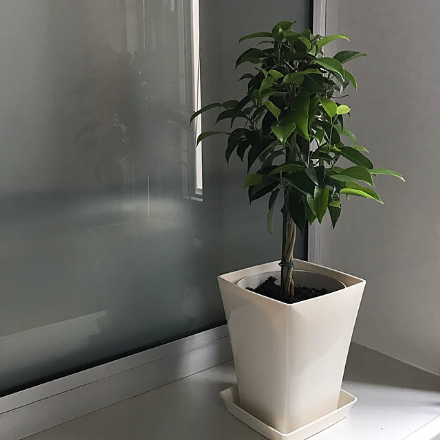 Naoさんの実例写真