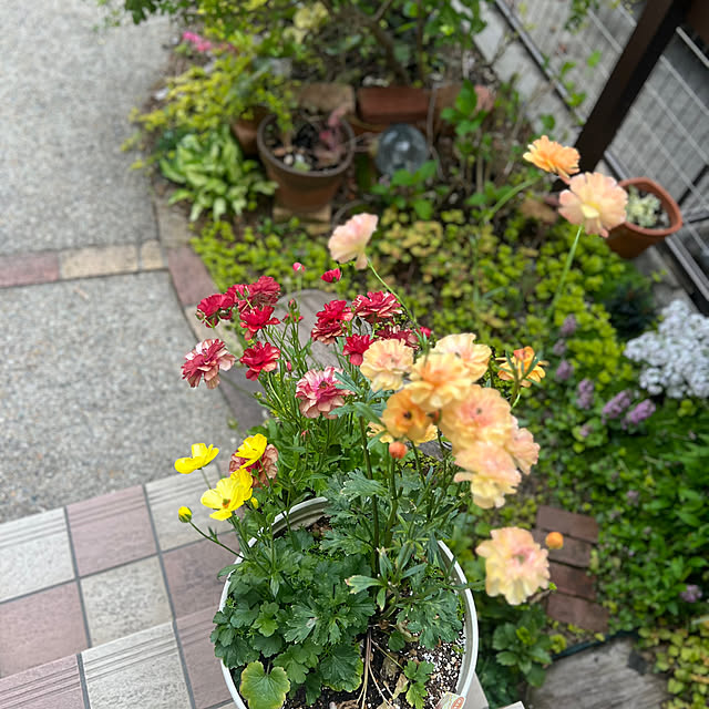 hinamamaさんの部屋