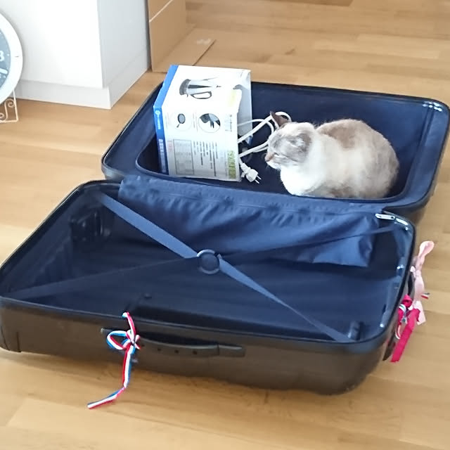 bonobono54さんの実例写真