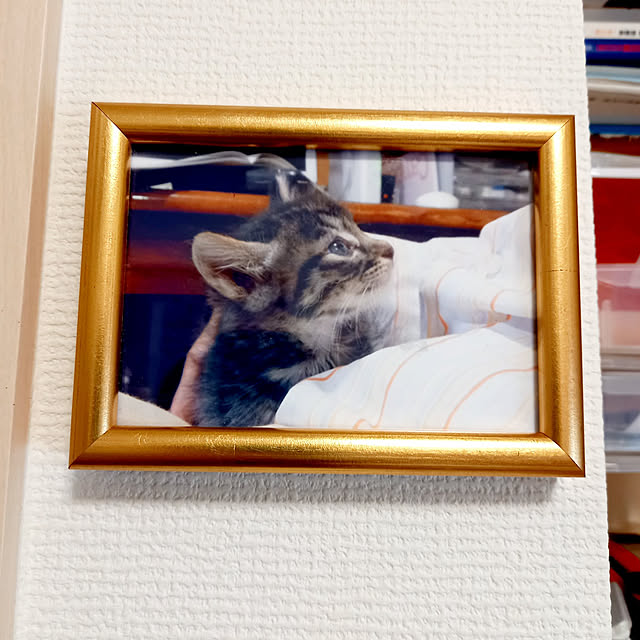 ermwsさんの実例写真