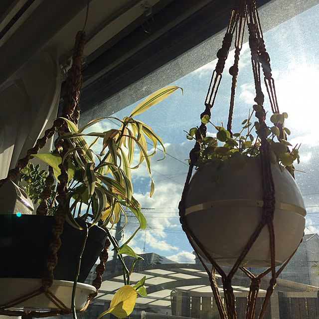 kojimasaさんの部屋