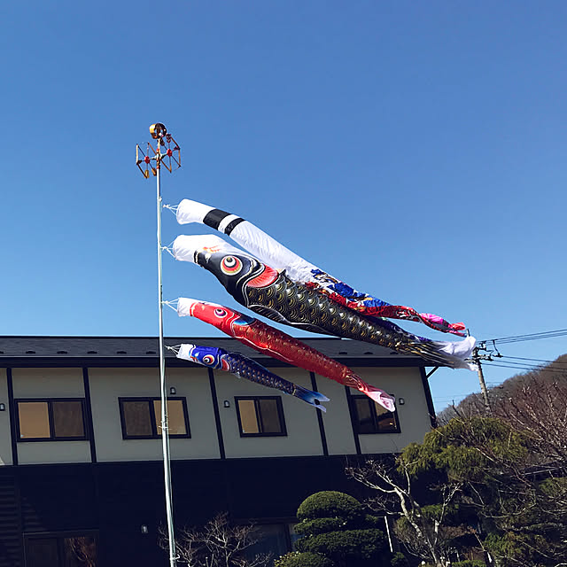 rainbowlotusさんの実例写真