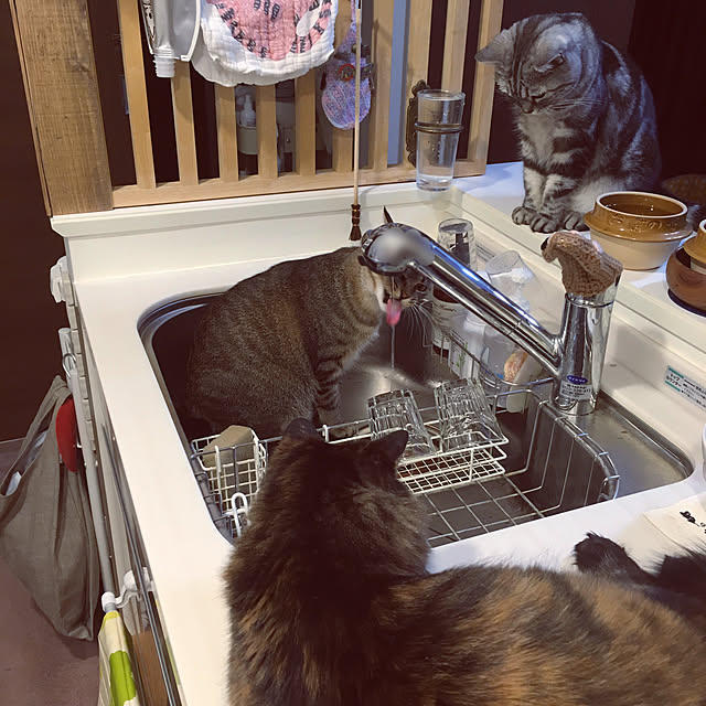 mikomaruさんの実例写真