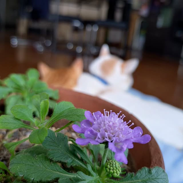 NOAHさんの部屋