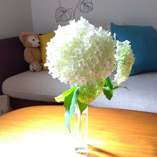 Motomeさんの部屋