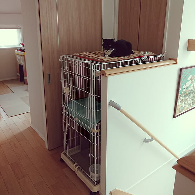 picanさんの実例写真