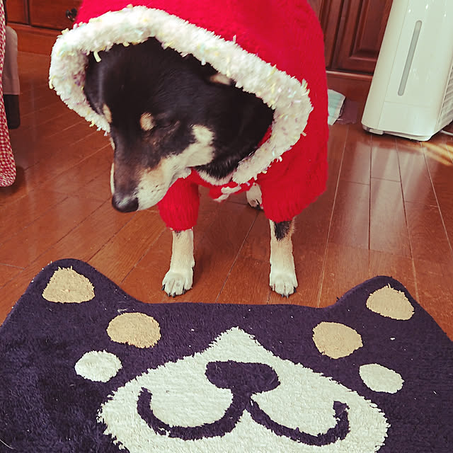 tsutawarimasuさんの実例写真
