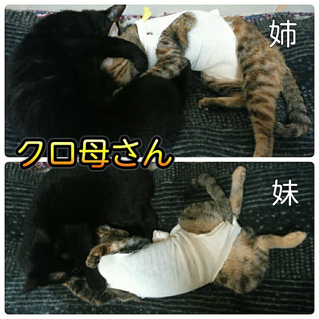 genさんの実例写真